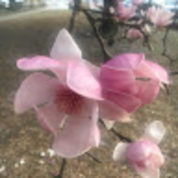 Meet your Posher, K - Picture 1 of 1